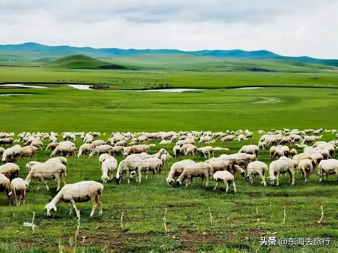 大兴安岭SEO排名如何提升？效果可持续多久？