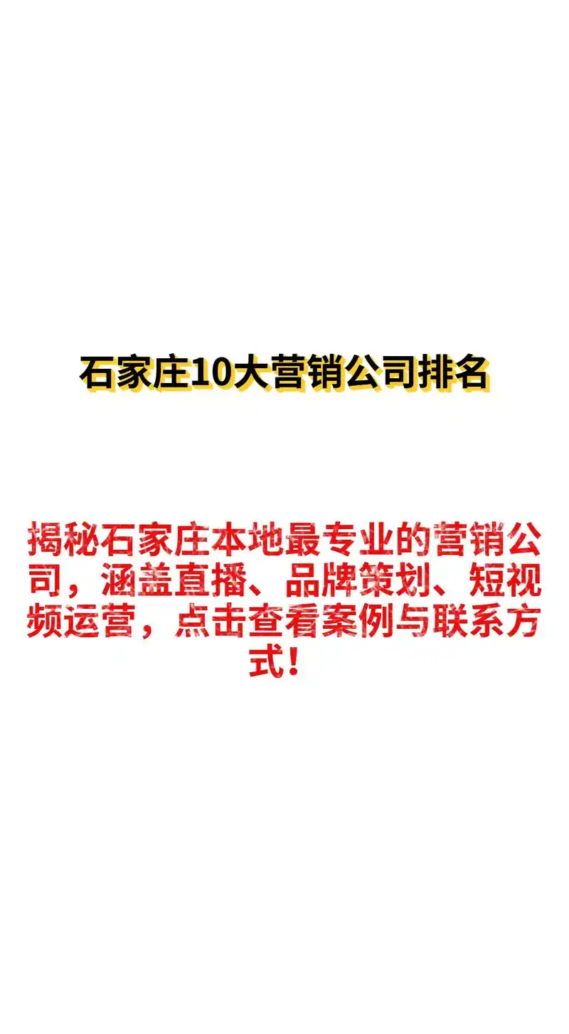 石家庄企业如何选择靠谱的SEO服务？本地优化与全网推广如何侧重？