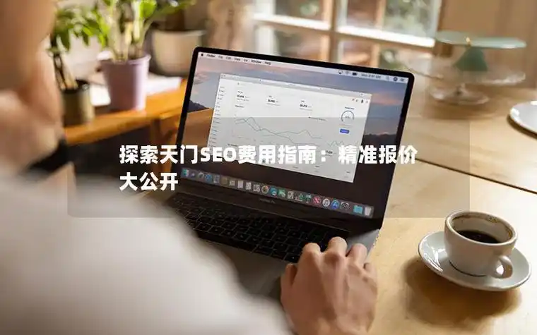 天门seo排名优化价格大概多少 不同服务怎么收费