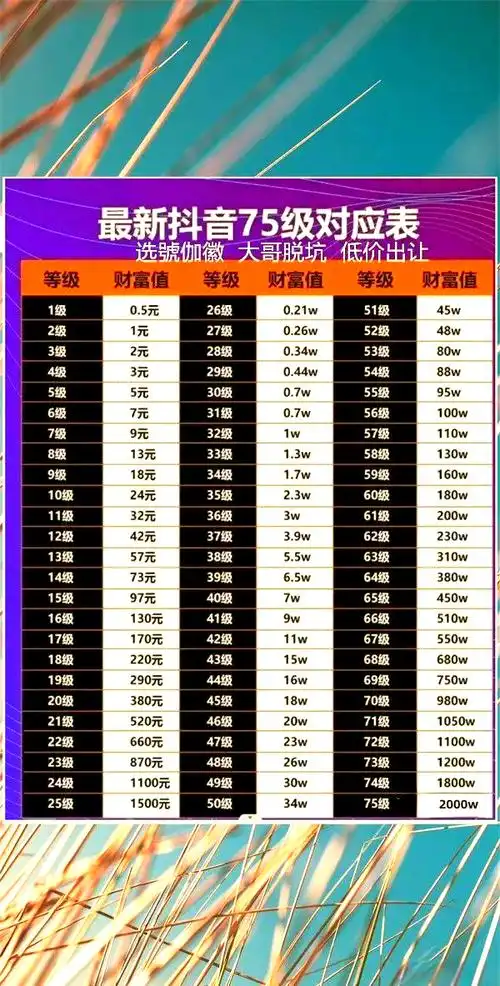 甘肃抖音SEO收费标准？预算多少才合适？