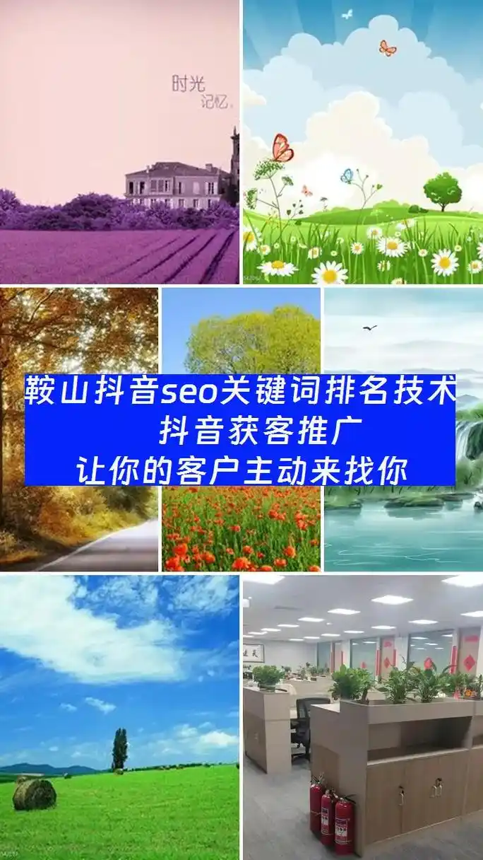 鞍山SEO网站推广：如何精准提升排名？怎样引爆本地流量？
