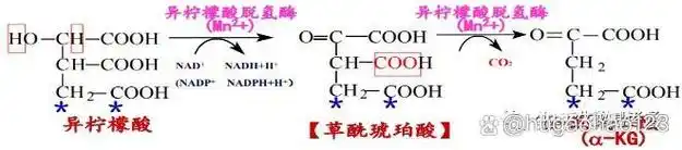 SEO2氧化羰基α位可生成酮？怎样实现精准转化？
