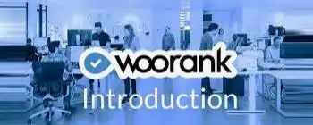 SEO Woo Why？ 它的独特价值在哪里，能解决哪些具体排名问题？