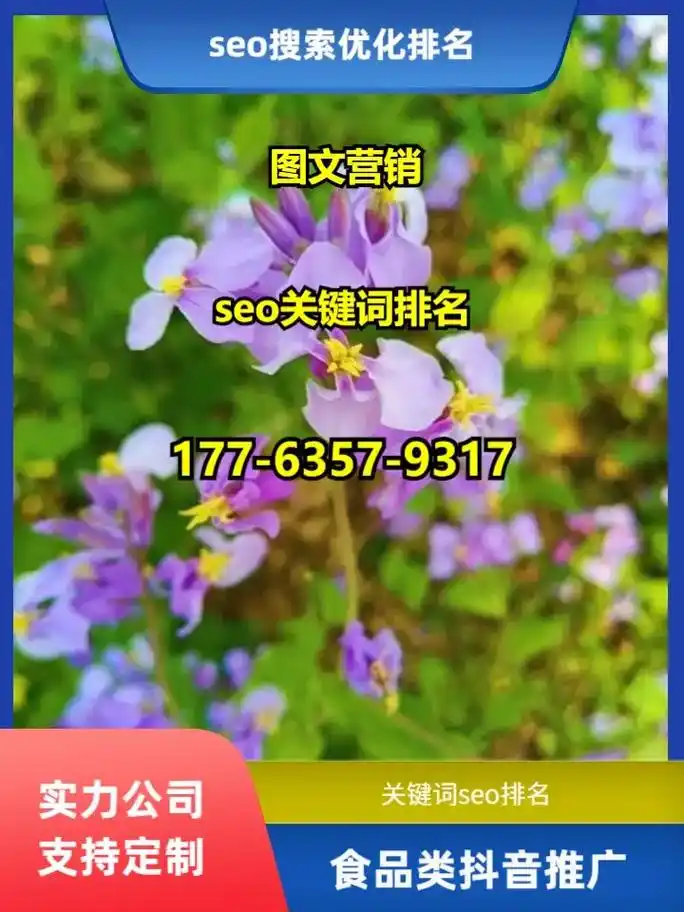 赤峰百度SEO是什么？ 它与普通SEO有什么不同？