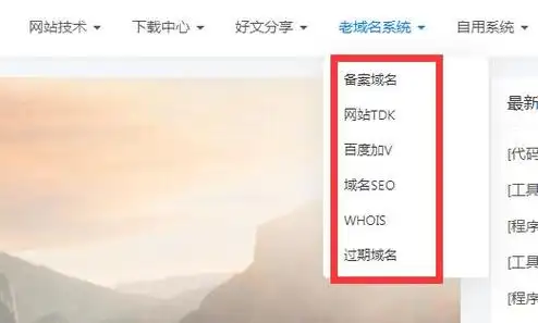 SEO站群如何启动，日常要管哪些事？
