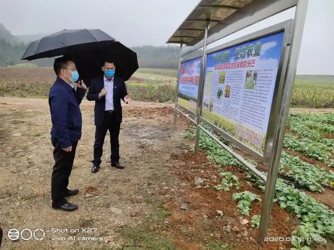 来宾创新方案设计是否存盲区？如何通过SEO实现破圈？