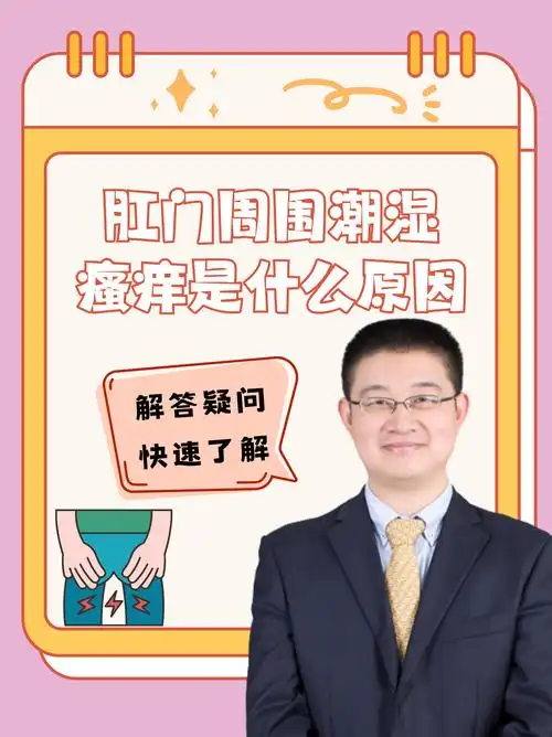 SEO为什么总被问到'为什么会长痔疮'这类问题？