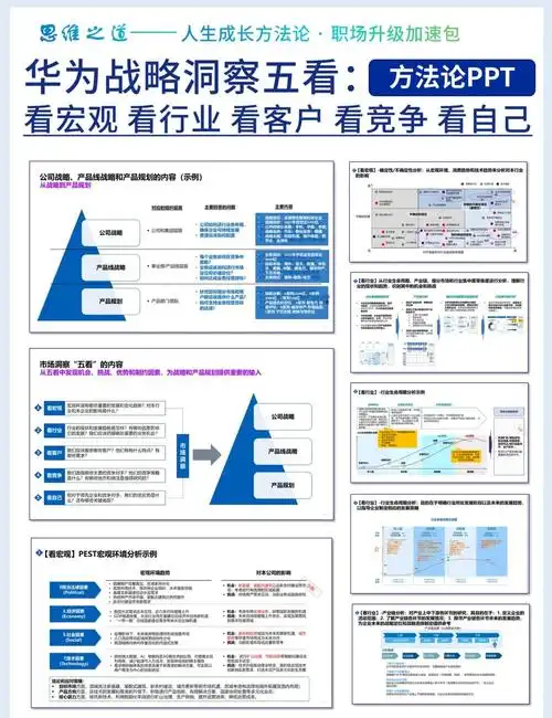 “沈阳seo樯行者seo08”是专业服务还是本地优化案例？如何判断其真实效果？