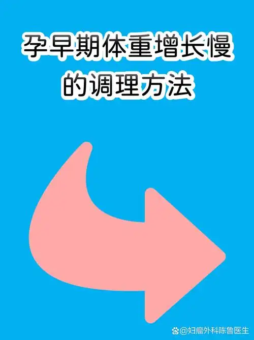 北航百度SEO优化应该从哪些角度入手？ 不同阶段的网站策略有什么差异？