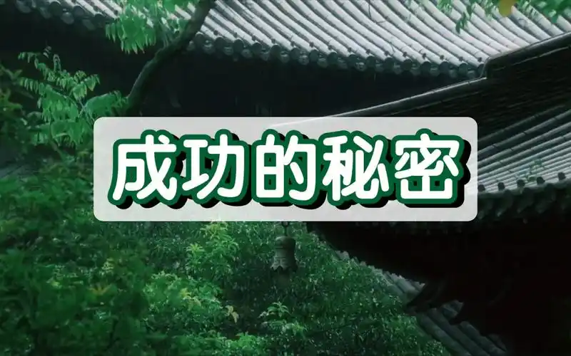 SEO成功秘密到底是什么？ 为什么你看了很多教程还是没效果？