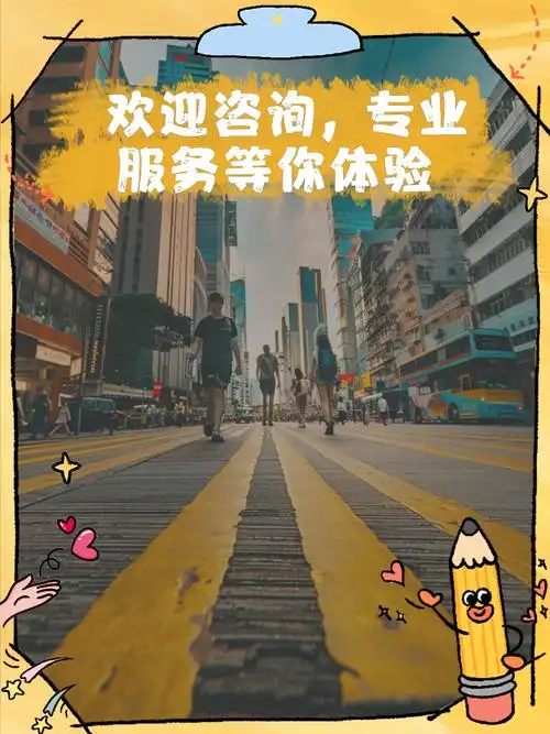 适合新手还是专业服务更有效？