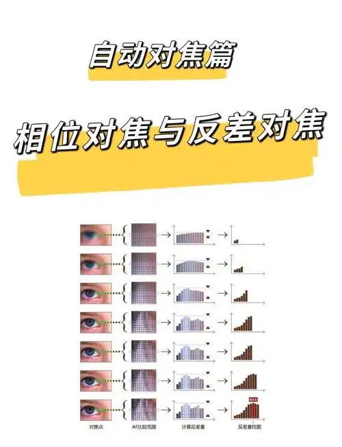 佳能seo 750d对焦系统如何提升？动态范围表现是否达标？