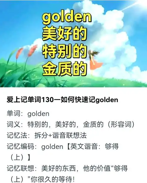 “金金seo”这个词到底该怎么用才能有效果？