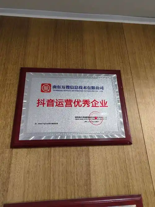 济南抖音SEO公司哪家比较靠谱？ 他们的服务具体有什么区别？