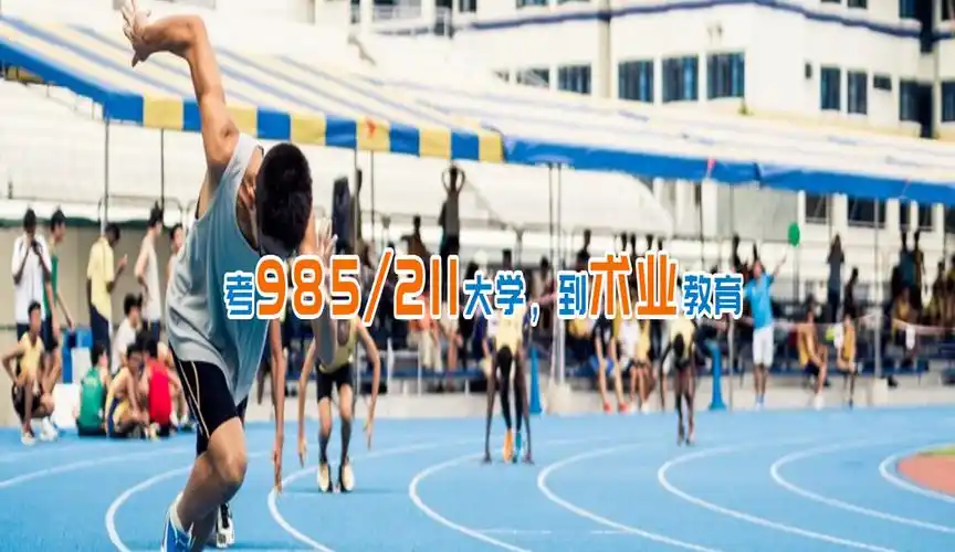 东营SEO优化怎么收费？ 服务内容和效果有哪些差别？