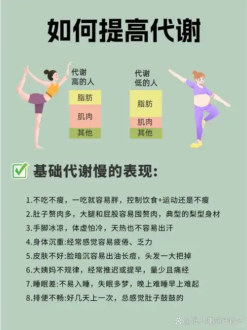 瘦子SEO身材如何炼成？内容瘦身真能提升排名吗？