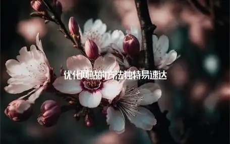 “专业seo网络推广看看易速达”如何选择靠谱服务商？ 它与普通推广有什么区别？