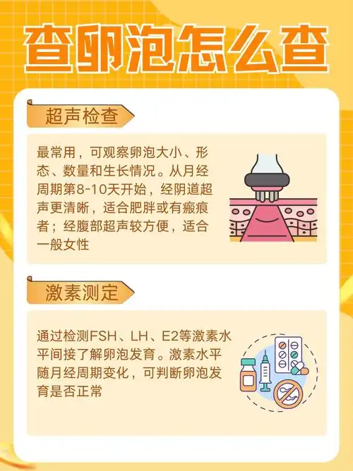 如何监测卵泡萎缩，SEO能做什么？ 它真的对备孕用户有用吗？