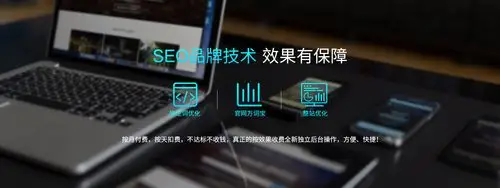 四川SEO排名低价是否等于高性价比？投入少效果真能持续？