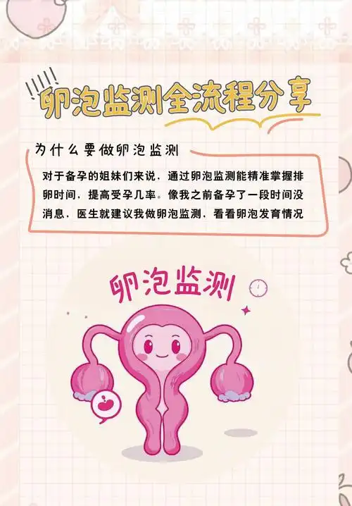卵泡萎缩如何准确监测？哪些信号提示需要干预？