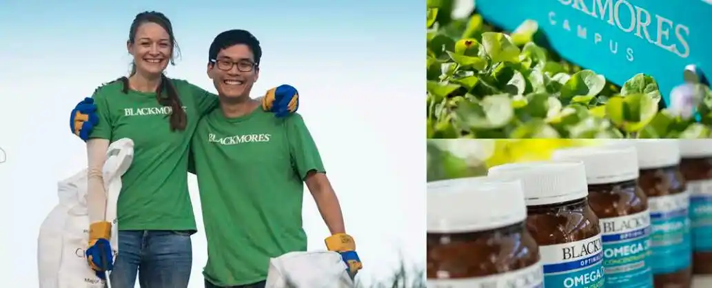 利川SEO托管如何助力网站排名飙升？效果能否长期稳固？