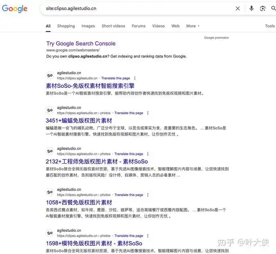 哪些平台能加速网站被搜索引擎收录？SEO收录排行榜揭晓答案