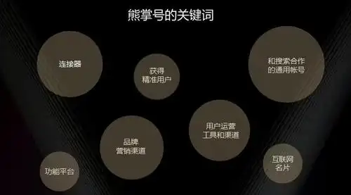 烟台SEO熊掌号如何提升本地排名？ 它与普通优化有何不同？