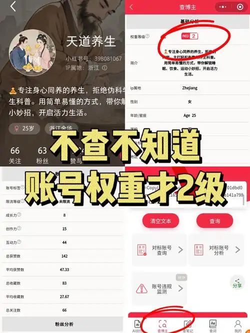 seo网站23环境下火与星推荐该如何筛选？哪些推荐更有效提升权重？