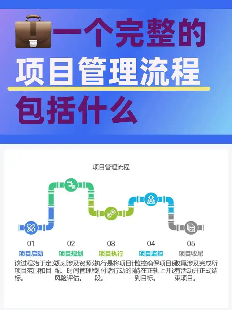 新项目SEO从何起步？哪些关键环节不可忽略？