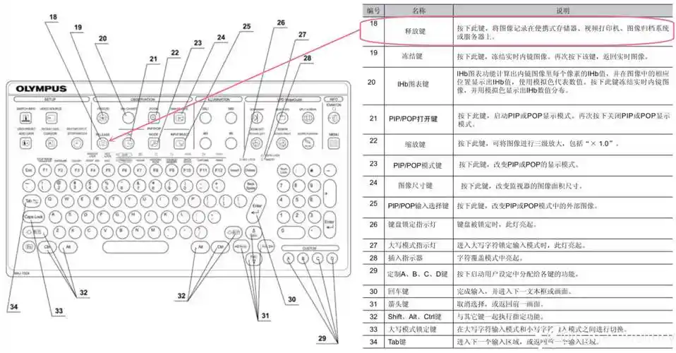西藏SEO查询如何做？ 需要哪些本地化工具？
