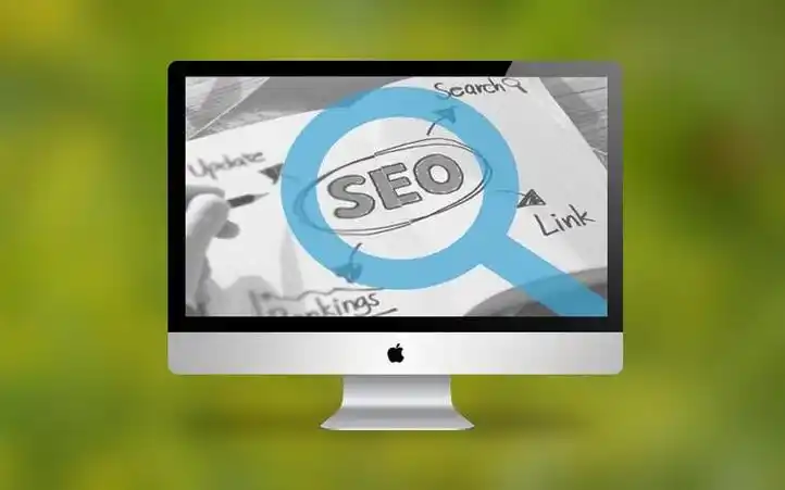 “蜘蛛seo推广排名前十”是真的有用吗？ 哪些情况不适合用它？