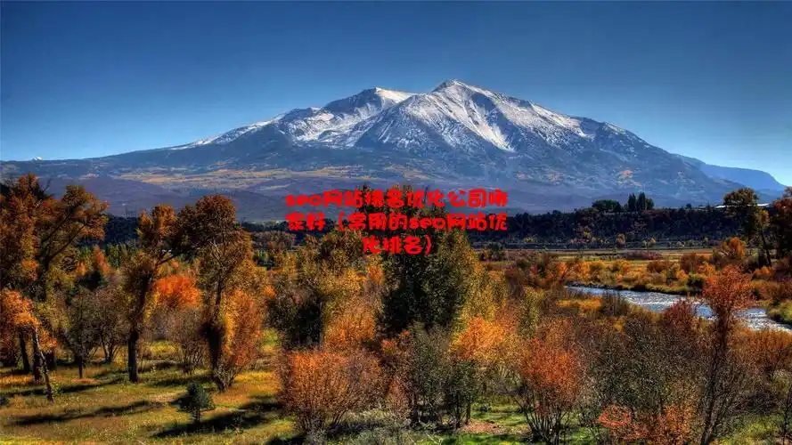 张家界SEO优化效果如何？排名提升需多久？