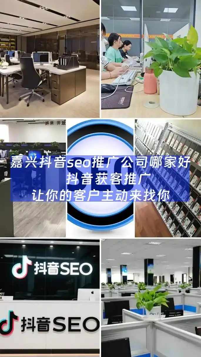 在怀化做抖音SEO优化，找哪家公司效果比较好？