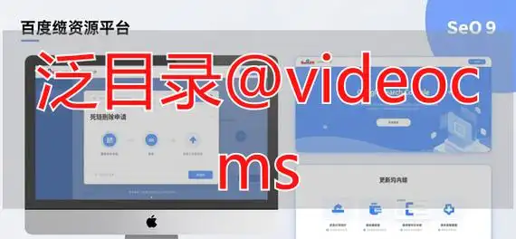 用SEO黑帽技术优化网站，会有什么实际风险？