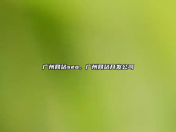 广州做SEO到底需要什么样的网站？