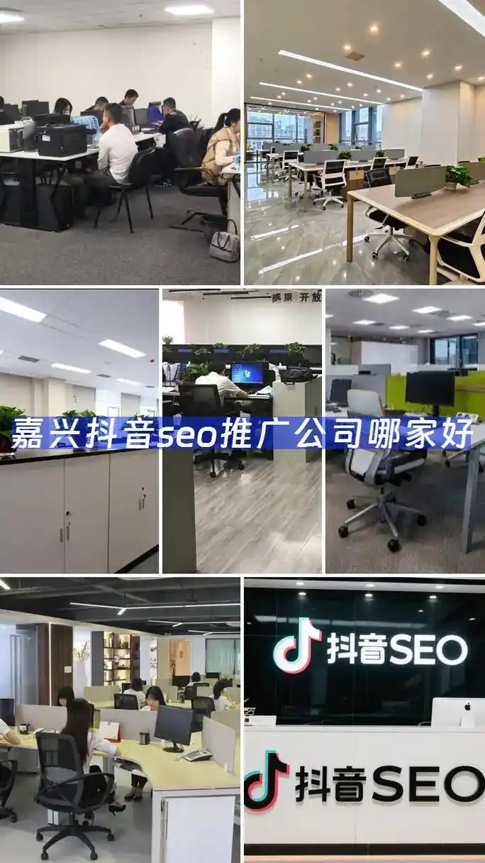 在怀化做抖音SEO优化，找哪家公司效果比较好？