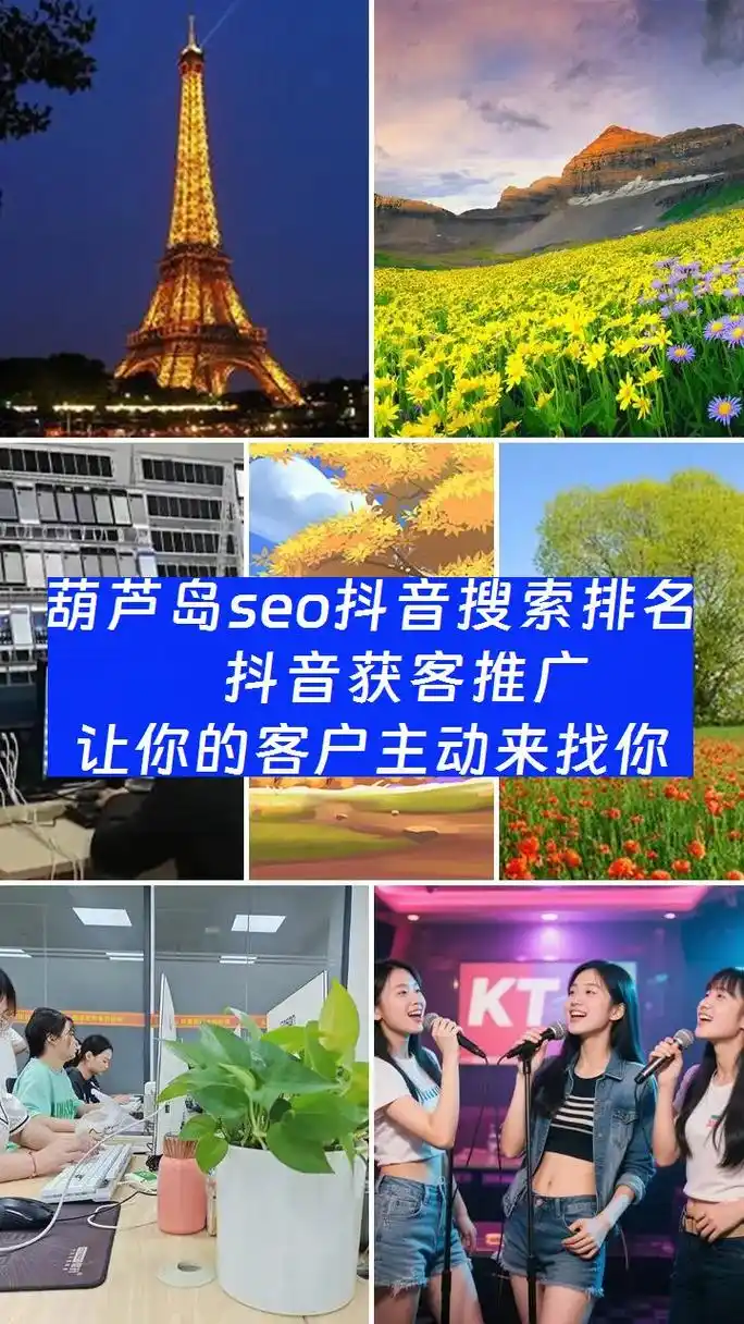葫芦岛百度seo商有哪些靠谱选择，他们的本地服务有什么特点？