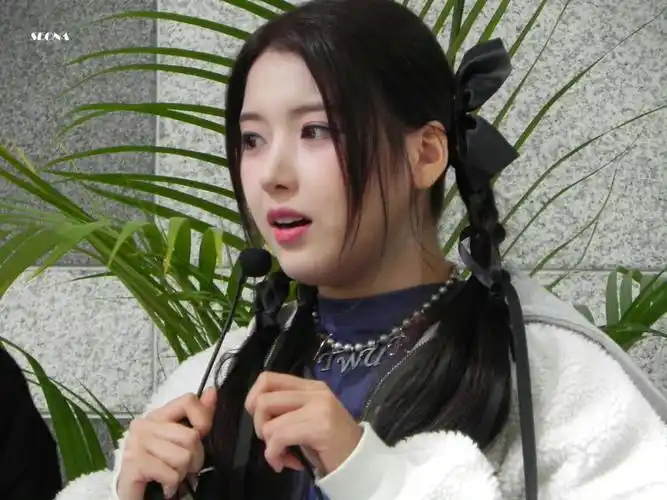 SEO Jiwoo巧克力？ 它为什么能快速获得高排名？