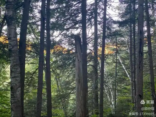 白山SEO哪种方案更适用？是否匹配不同场景需求？