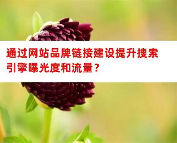 黄冈seo全网营销公司如何提升品牌曝光？效果能否持续放大？