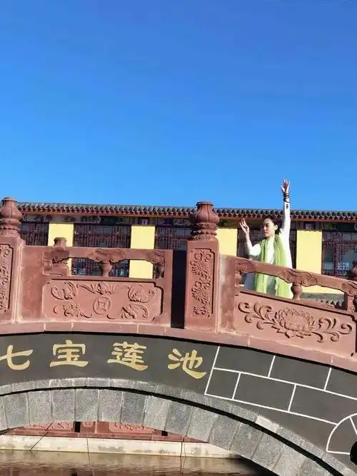 万紫园SEO舞蹈如何精准吸引目标客户？ 它与传统舞蹈培训推广有何不同？