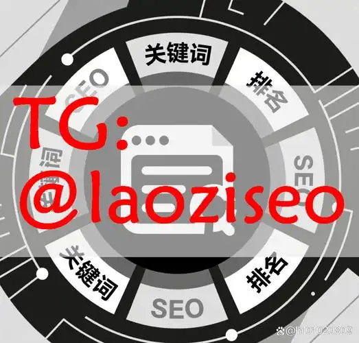 如何用SEO目录自动喂食提升排名？网站收录数量能否翻倍？