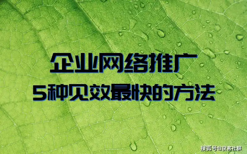 吐鲁番SEO网络推广哪个公司靠谱？ 当地企业如何选择有效推广渠道？