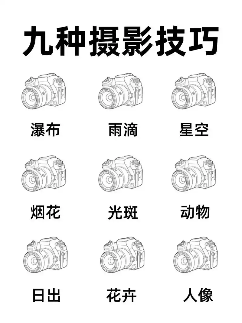 SEO入门单反拍照技巧有哪些？如何快速提升图片排名？