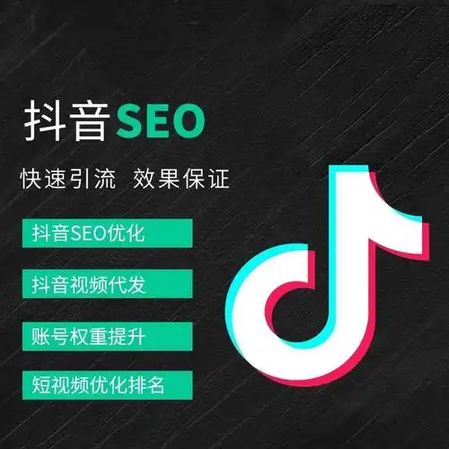 营口做抖音SEO，有哪些靠谱的系统或渠道可以用？