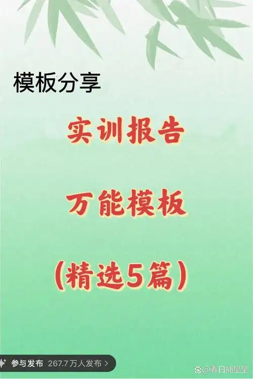 SEO网站实训报告怎么找参考模板，关键执行步骤有哪些差异？