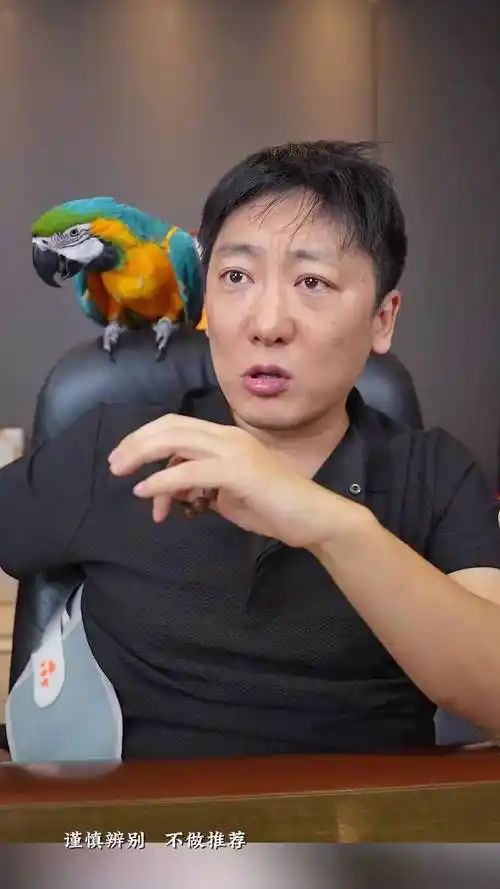 旺哥seo参哥真能提升排名？还是收割韭菜的障眼法？