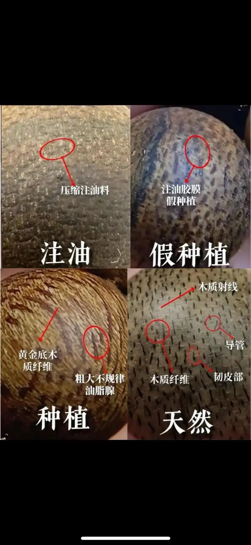 沉香三通手串如何鉴别？佩戴后真能安神静心吗？