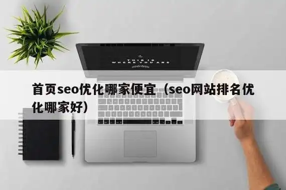 宁陵专业seo优化公司？首页排名效果能提升多少？
