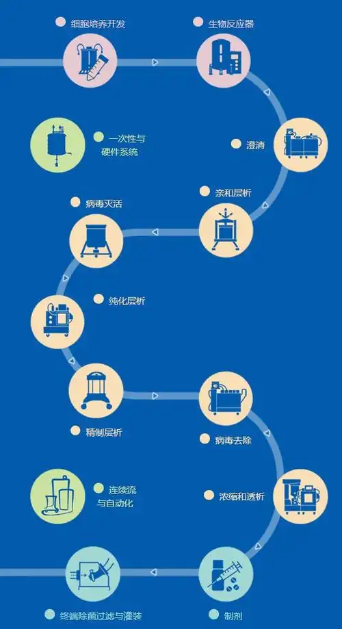 贺州创新SEO方案怎么样？ 它适合哪些本地企业？